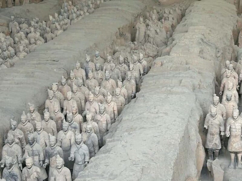Xi'an Exclusive Terracotta Army Tour with Local Family Lunch - Price and Value