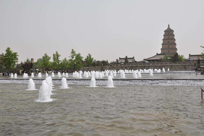 Xi'an Half-Day City Tour - Shaanxi History Museum and Big Wild Goose Pagoda - Transportation and Group Dynamics