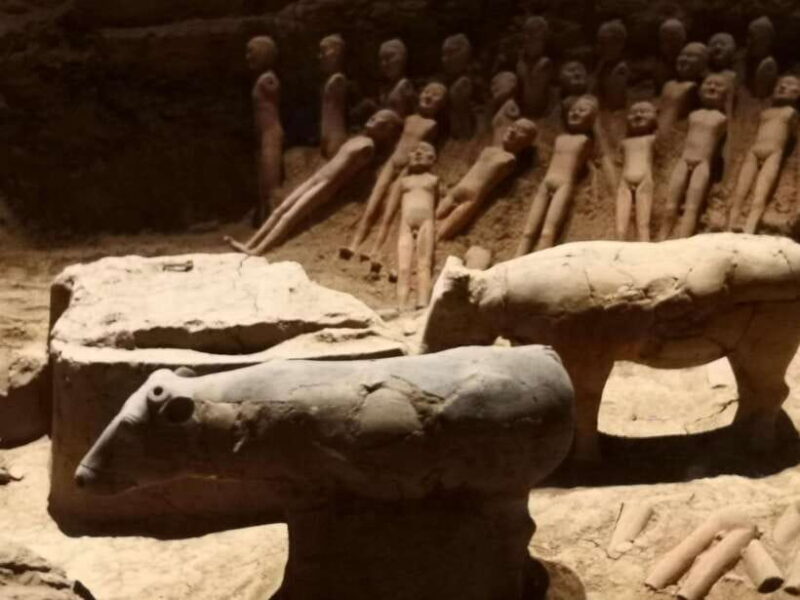 Xi'an: Han Yang Ling Tomb Archaeology Tour with Options - Who Should Consider This Tour