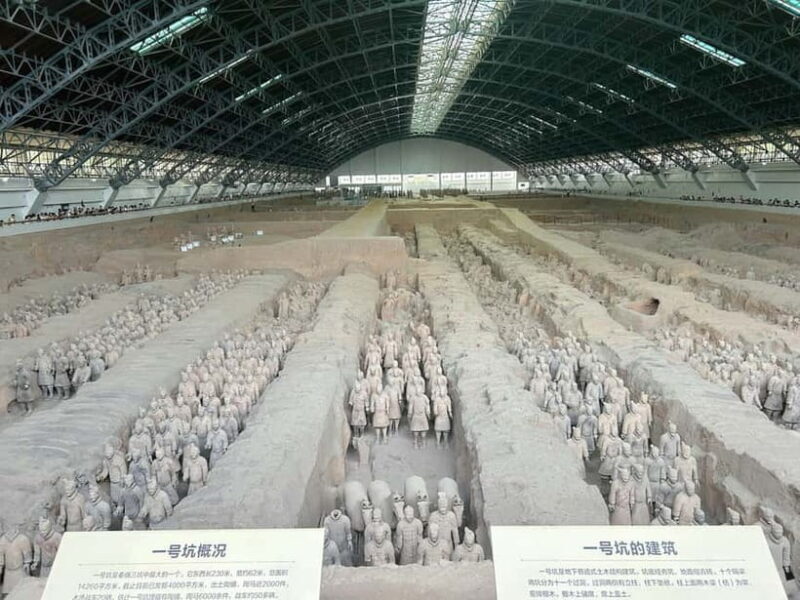 Xi'an in A Day: Terracotta Army & City Highlights with Lunch - Visiting the Big Wild Goose Pagoda