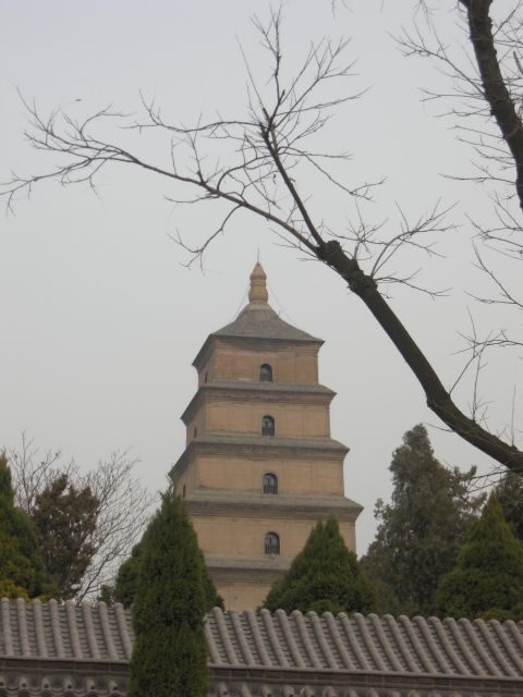 Xi'an: Terra-Cotta Warriors Entry with Optional Guide - Introduction: An Authentic Visit to Xian’s Iconic Treasure