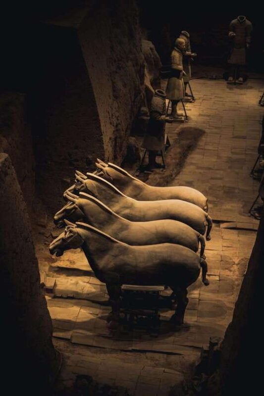 Xian Terra Cotta Warriors Ticket Only - Exploring the Terra Cotta Warriors: What You Can Expect