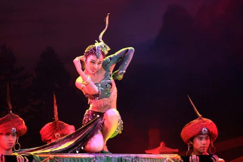 Xi'an Terra Cotta Warriors Tour with Tang Dynasty Show - Key Points