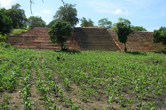 Xihucan archaeological tour - FAQ: Your Questions Answered