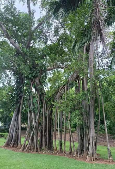 Xishuangbanna: Day Trip to Daluo - Lunch and Scenic Exploration
