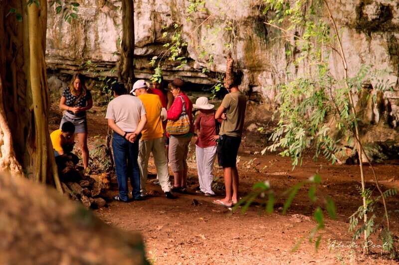 Xkopek, Mayan Bees Tour and Honey Tasting in Valladolid - Introduction: A Unique Blend of Nature and Culture