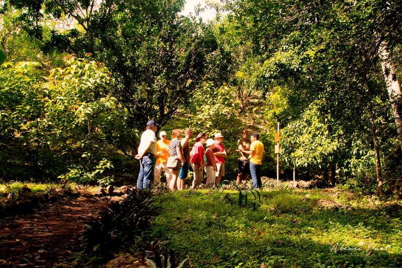 Xkopek, Mayan Bees Tour and Honey Tasting in Valladolid - What Travelers Are Saying