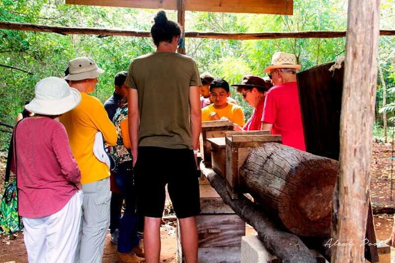 Xkopek, Mayan Bees Tour and Honey Tasting in Valladolid - Who Should Consider This Tour?