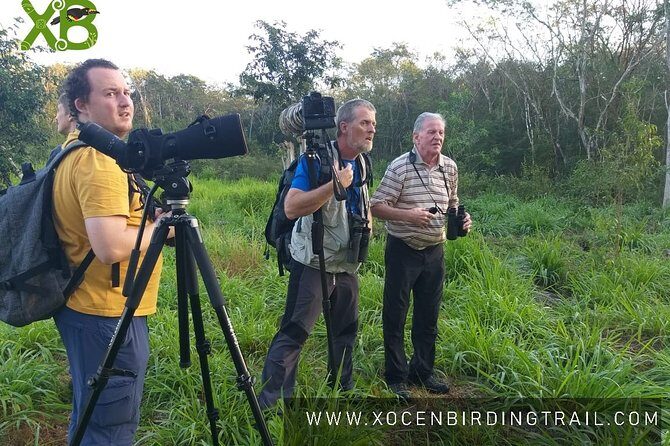 Xocen Birding - Key Points