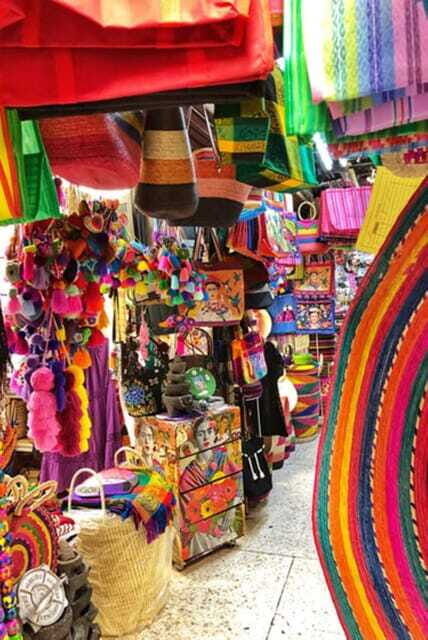 Xochimilco Canals and the Treasures of Coyoacán Tour - The Experience: What You Can Expect