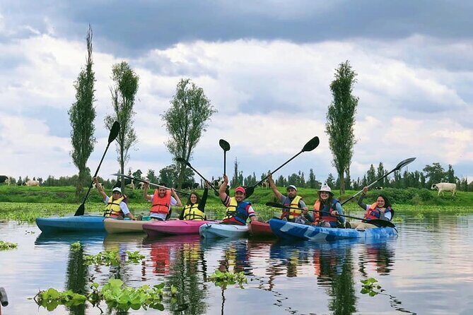 Xochimilco Canals by Kayak - Exploring the Canals by Kayak: A Deep Dive