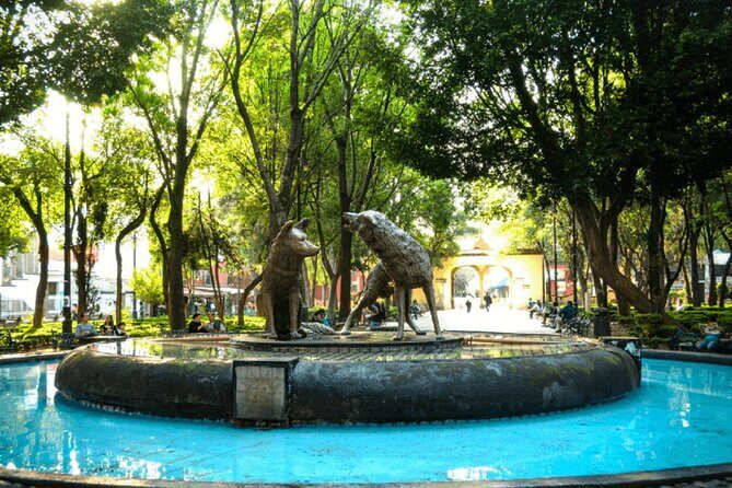 Xochimilco, Casa de Frida Kahlo, Coyoacán and UNAM - Authenticity and Value: What Travelers Say