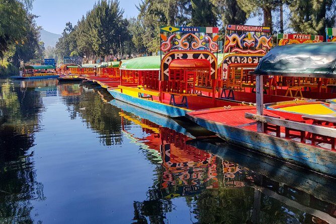 Xochimilco, Coyoacan, Aztec Stadium & UNAM - Why This Tour Offers Good Value