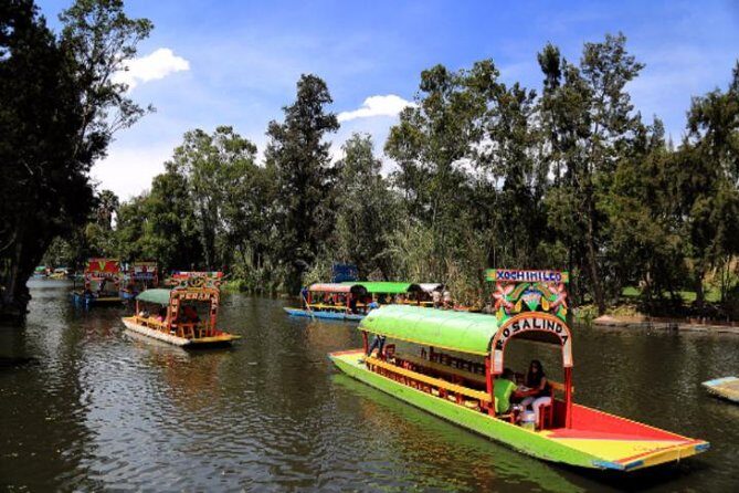 XOCHIMILCO & COYOACAN (Private) - What to Expect from the Itinerary