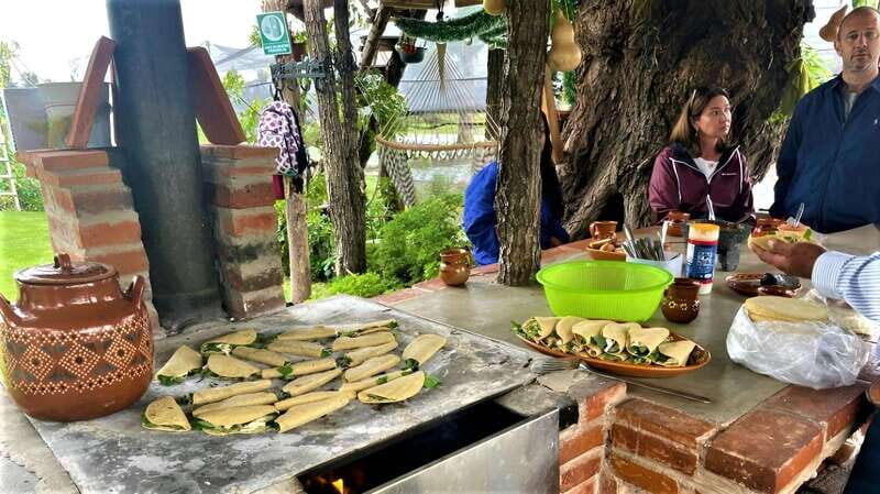 Xochimilco Day Trip: Farmland Food and Hop on a Trajinera - An In-Depth Look at the Xochimilco Day Trip