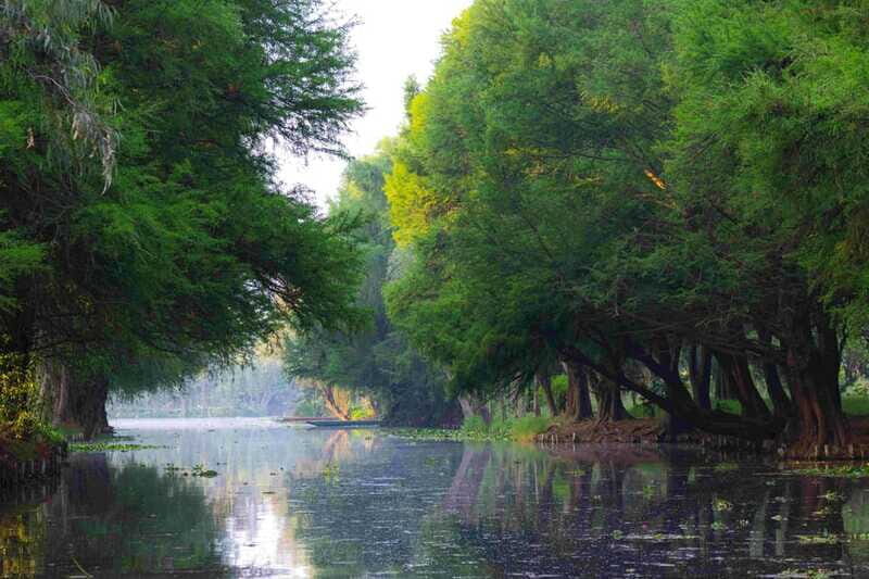 Xochimilco Day Trip: Farmland Food and Hop on a Trajinera - FAQs