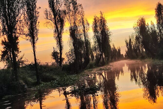 Xochimilco Ecotourism at Dawn in Canoe and Organic Breakfast - An Authentic Dawn Adventure in Xochimilco