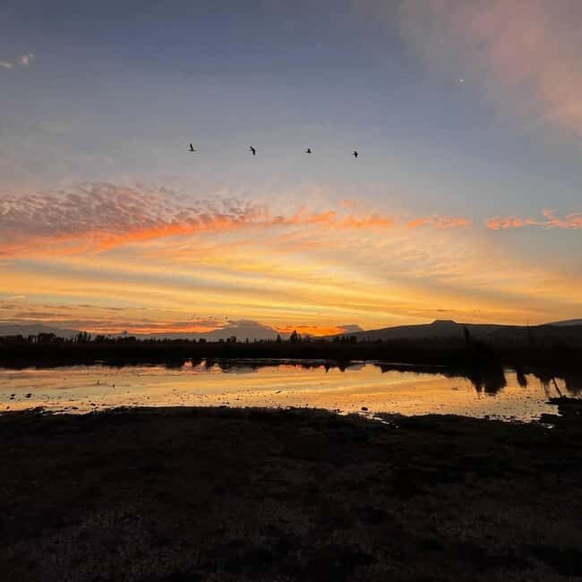 Xochimilco: Kayak ride at sunrise with breakfast - Who This Tour’s Best For