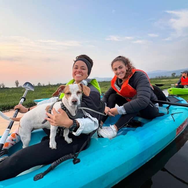 Xochimilco: Kayak Tour and Axolotl Watching - An In-Depth Look at This Unique Tour