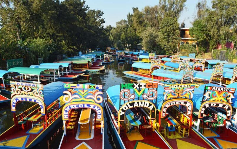 Xochimilco: Party on a trajinera with food, drinks, and music - Authenticity and Experience Quality
