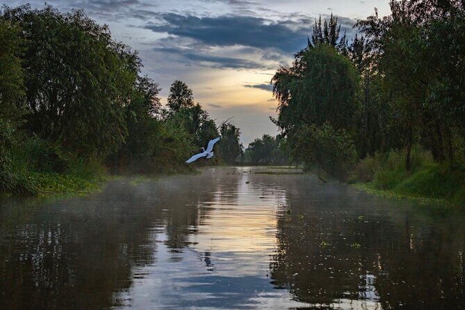 Xochimilco Sunrise from Mexico - A Detailed Look at the Xochimilco Sunrise Tour