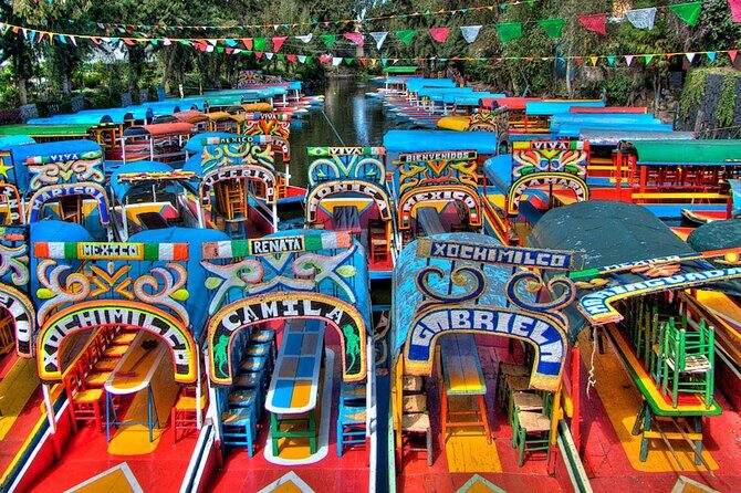 Xochimilco Tour: Coyoacan and Frida Kahlo Museum in Mexico City - Introduction: Why Consider This Tour?