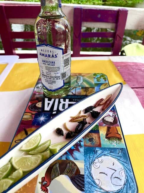 Xochimilco's Wild Side: Mezcal, Insects & Culture - Final Thoughts — Who Should Consider This Tour?