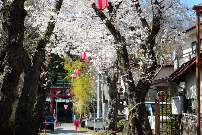 Yabusame Adventure with Mt. Fuji Views - Who Is This Tour Perfect For?