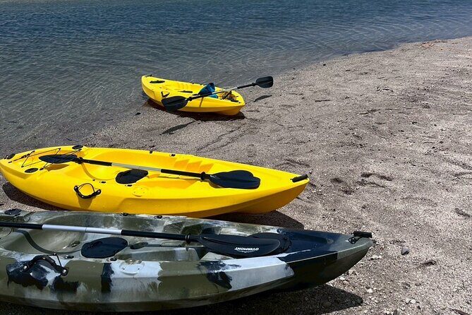 Yakushima Adventure Gear Rentals for Outdoor Fun - Exploring Yakushima with Confidence and Comfort