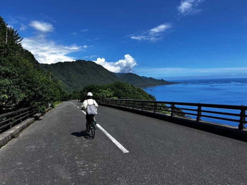 Yakushima: E-Bike Rental Plan (Pick-Up & Drop-Off Included) - The Itinerary and Experience in Detail