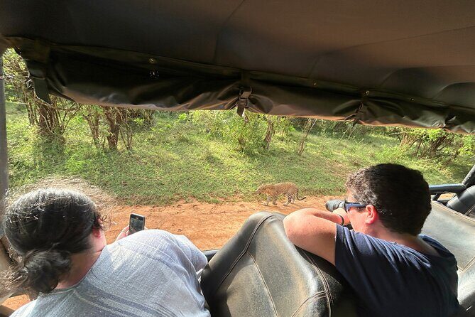 Yala 4h Jeep Safari: Guided Wildlife Experience (All Inclusive) - Reviews and Real Experiences