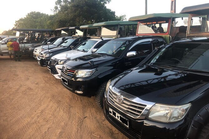 Yala and Udawalawa National Park Safari Tour From Hambantota port - Key Points