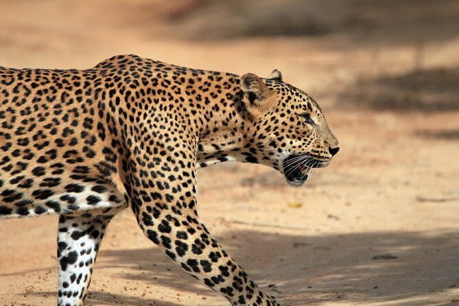 Yala and Udawalawa National Park Safari Tour From Hambantota port - Frequently Asked Questions