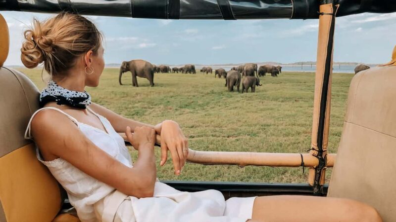 YALA BLOCK 5 & 6 (Weheragala & Lunugamwehera) Safari Tour - What Makes This Tour Stand Out