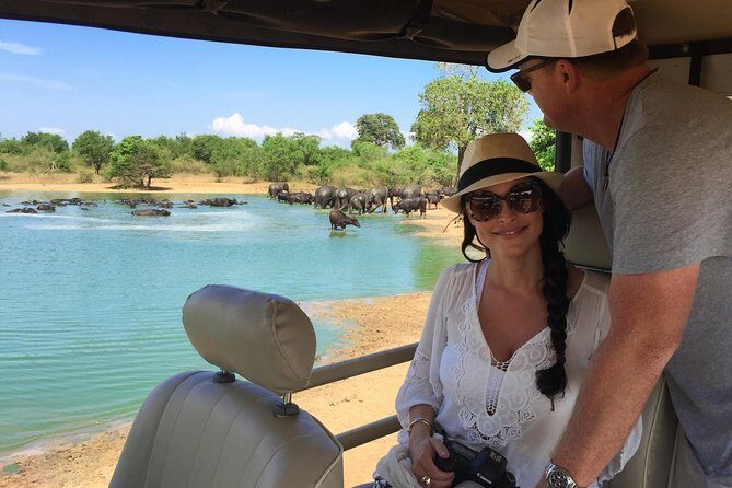 Yala Full Day Safari with Picnic Lunch - Private & All Inclusive - The Sum Up