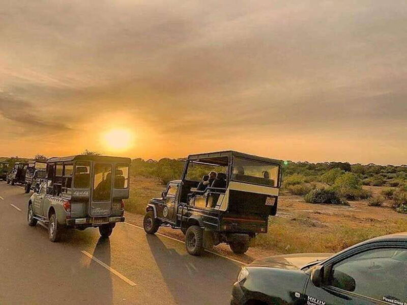 Yala National Park: 7 hour & 12 hour Leopard Safari Tours - Meals and Refreshments