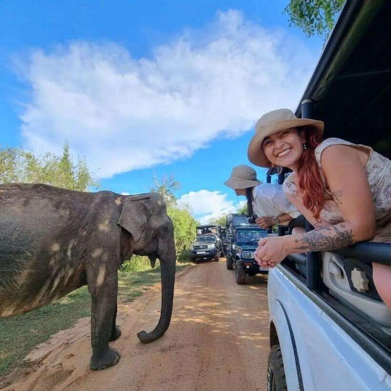 Yala National Park: All Inclusive Private Safari Day Trip - Key Points