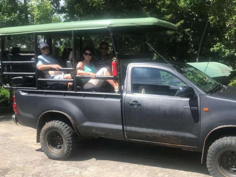 Yala National Park: Day Tour with Jeep Safari - What to Expect: Practical Details
