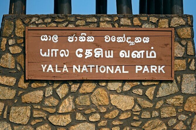 Yala National Park Half Day / Full Day Special Safari Tours - What Travelers Say About the Experience