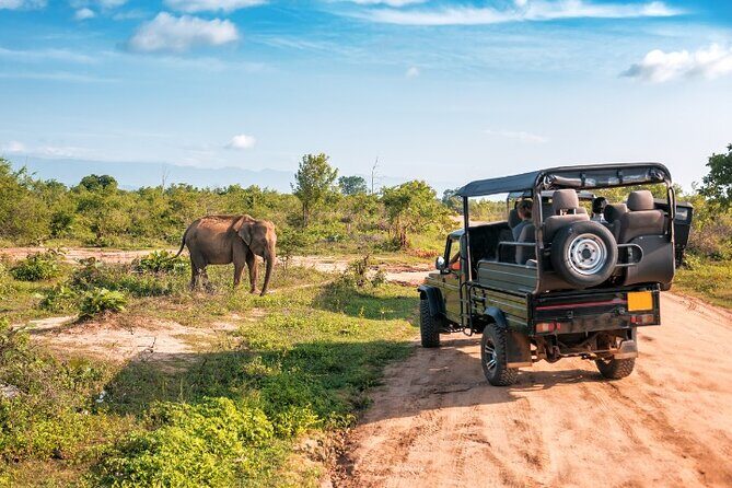 Yala National Park Half Day / Full Day Special Safari Tours - The Value of the Tour