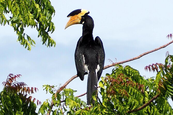 Yala National Park Half Day / Full Day Special Safari Tours - Frequently Asked Questions