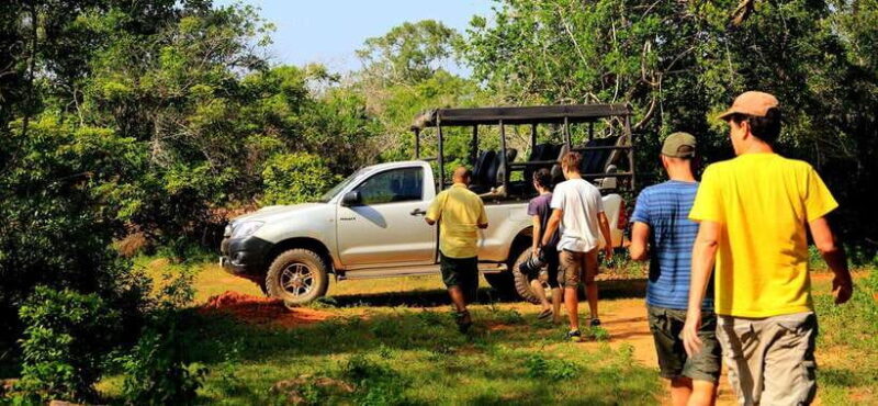 Yala National Park Half or Full-Day Safari - Who Should Consider This Tour?