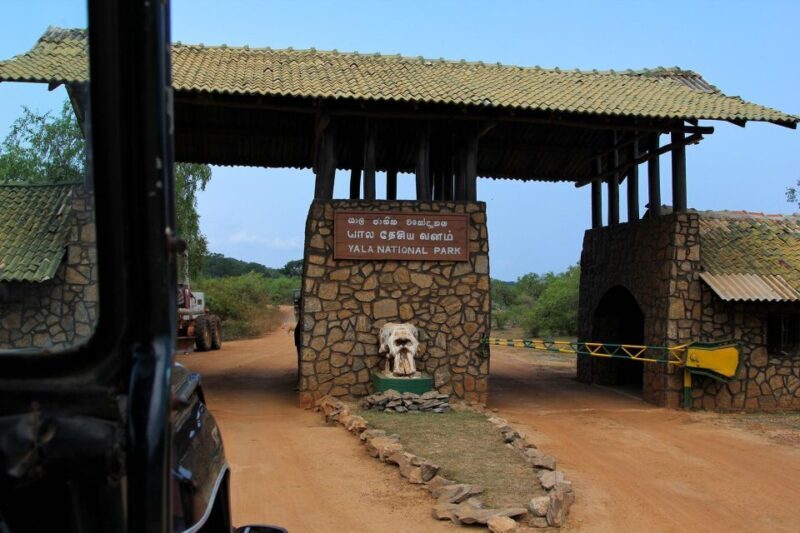 Yala National Park: Leopard Safari Day Tour from Colombo - The Itinerary in Detail
