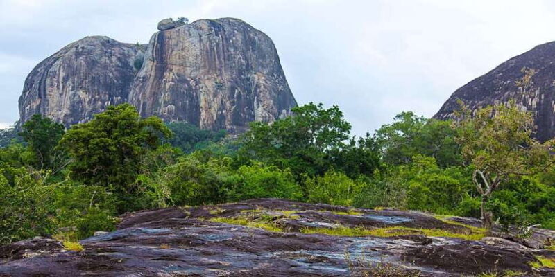 Yala National Park: Leopard Safari Full day tour with Lunch - The Sum Up: Who Will Love This Tour?
