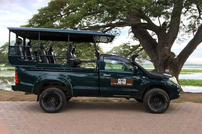 Yala National Park Morning or Afternoon Leopard Safari - The Sum Up