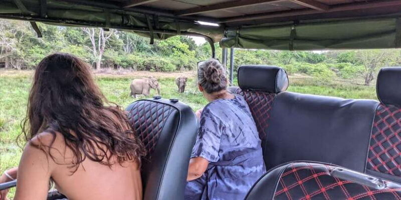 Yala National Park : Morning or Afternoon Safari ( 5 h ) - Key Points