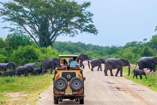 Yala National Park Private Safari (All Inclusive) From Mirissa - The Value and Real-Life Experiences