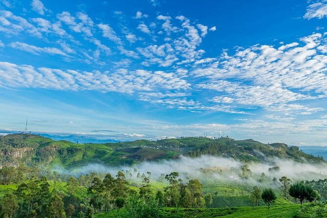 Yala National Park Safari from Ella - Who Should Book This Tour?