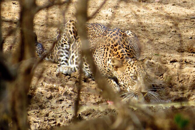 Yala National Park Safari from Galle - Frequently Asked Questions