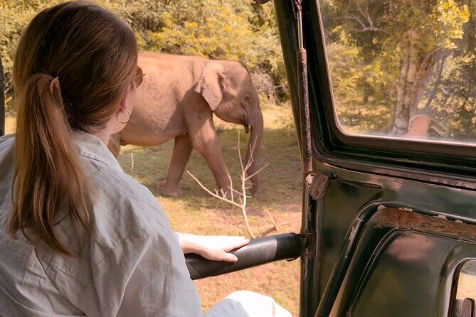 Yala National Park Safari FULLDAY and HALFDAY Expert Guided Tour - Key Points